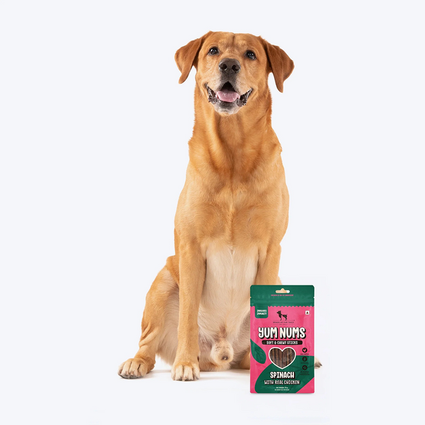 HUFT Yum Nums Soft and Chewy Spinach with Real Chicken Grain Free Stick Treats for Dogs