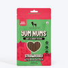HUFT Yum Nums Soft and Chewy Strawberry with Real Chicken Grain Free Sticks Treats for Dogs Dog Treats + Others Heads Up for Tails