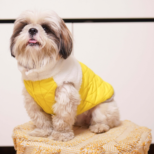 Pets Way Cozyquilt Winter Jacket for Dogs (Yellow)