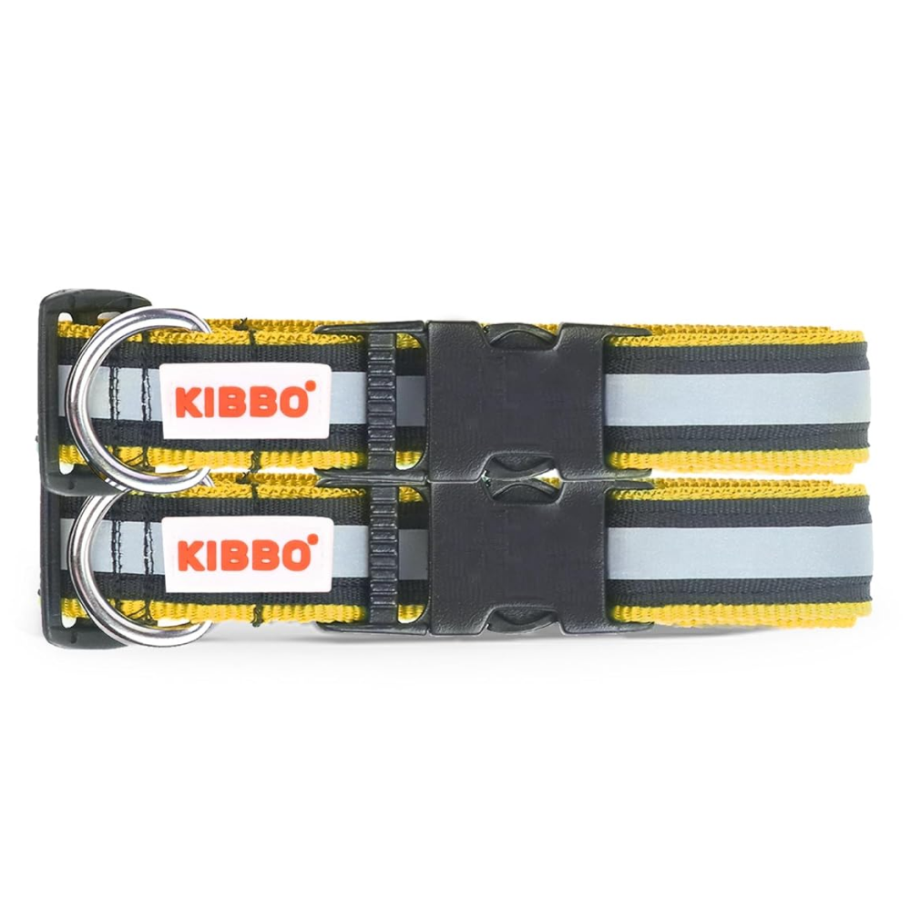 Kibbo Nylon Collar with Adjustable Buckle and D-Ring (Yellow/Pack of 2)