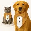 PawsIndia Mustard Checks Pattern Tuxedo Bandana with Matching Bow for Dogs and Cats Both-Clothing & Accessories Pawsindia Dropship