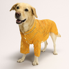 Dogobow Zig Zag Mirror Kurta for Cats & Dogs (Yellow) Dogs-Clothing & Accessories Dogobow Dropship