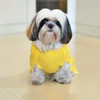 Dogobow Sun Kissed Knit Sweater for Dogs and Cats (Yellow) (Get a Bow Free) Both-Clothing & Accessories Dogobow Dropship
