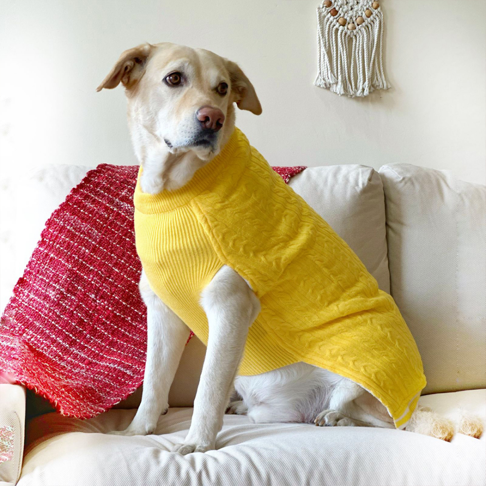 Dogobow Sun Kissed Knit Sweater for Dogs and Cats (Yellow) (Get a Bow Free)