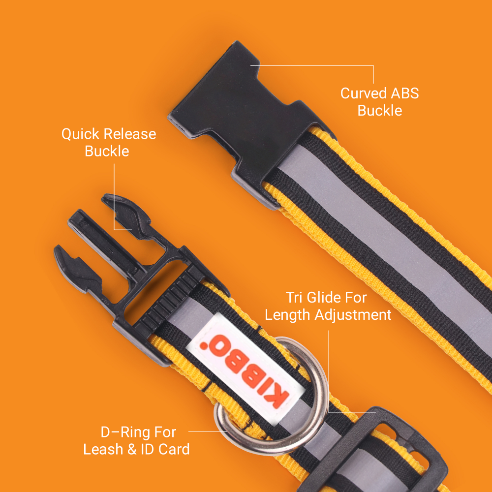 Kibbo Nylon Collar with Adjustable Buckle and D-Ring (Red & Yellow/Pack of 2)