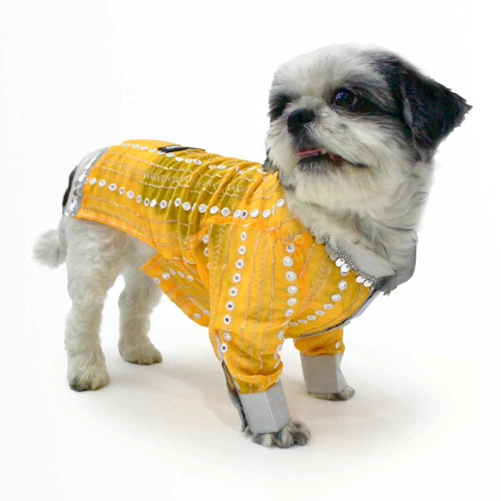 Dogobow Mirror Kurta for Dogs (Yellow)