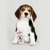 Zippy Paws Squeakie Can Zippy Claw Plush Toy for Dogs Dogs-Toys Zippy Paws