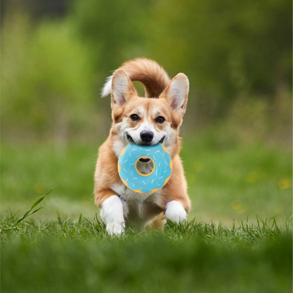 Zippy Paws Zippy Blueberry Tuff Donutz Plush Toy for Dogs