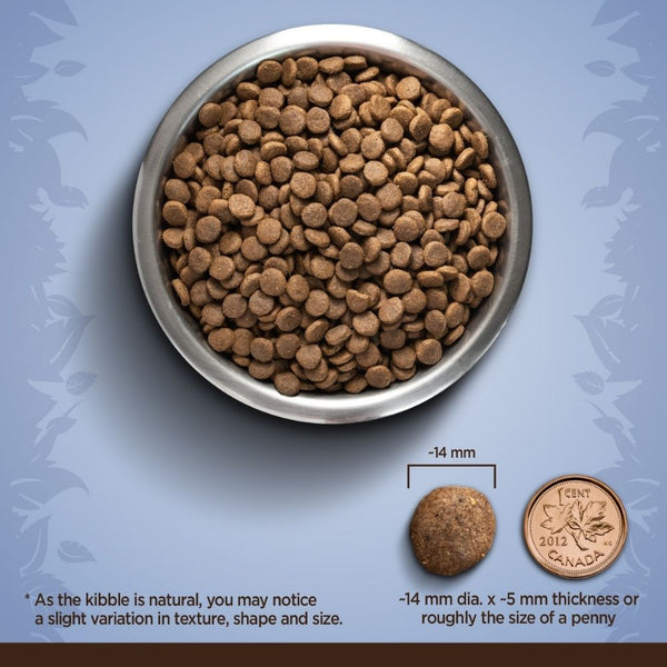 Zoe Chicken, Quinoa and Black Bean Medium Breed Adult Dog Dry Food