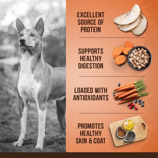 Zoe Turkey Chickpea and Sweet Potato Medium Breed Adult Dog Dry Food