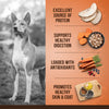 Zoe Turkey Chickpea and Sweet Potato Medium Breed Adult Dog Dry Food Dogs- Dry Food Zoe