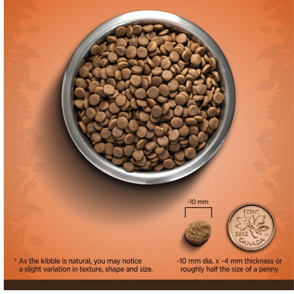 Zoe Turkey and Sweet Potato Small Breed Adult Dog Dry Food