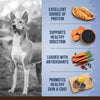 Zoe Chicken, Quinoa and Black Bean Medium Breed Adult Dog Dry Food Dogs- Dry Food Zoe