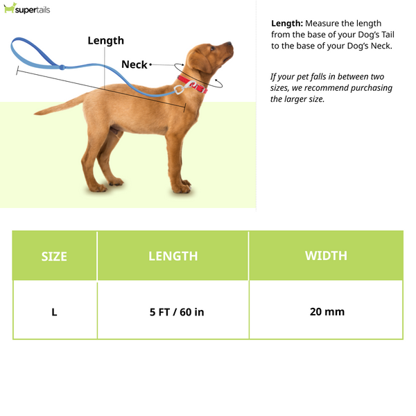 Zoomiez Hands Free Mesh Leash for Dogs & Cats (Red)