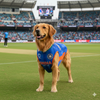 Pets Way T20 Indian Cricket Team Replica Jersey T Shirt for Dogs (Blue) Dogs-Clothing & Accessories Pets Way Dropship