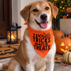 15 Furries Trick for Treat Halloween Bandana for Dogs & Cats (Orange/Black) Both-Clothing & Accessories 15 Furries Dropship