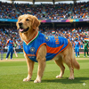 Pets Way T20 Indian Cricket Team Replica Jersey T Shirt for Dogs (Blue) Dogs-Clothing & Accessories Pets Way Dropship