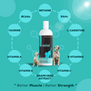 Venttura Omega 3 Plus Skin & Coat with Amino Plus Syrup for Dogs Both-Health & Wellness Venttura