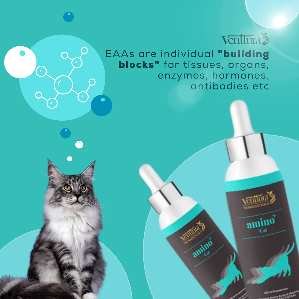 Venttura Amino Acids & Vitamin Supplement for Cats Cats-Health & Wellness Venttura