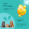 Venttura Amino Acids & Vitamin Supplement for Cats Cats-Health & Wellness Venttura