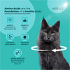 Venttura Amino Acids & Vitamin Supplement for Cats Cats-Health & Wellness Venttura