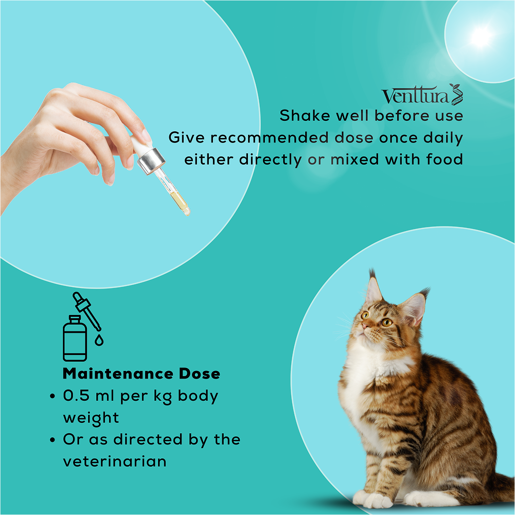 Venttura Amino Acids & Vitamin Supplement for Cats Cats-Health & Wellness Venttura
