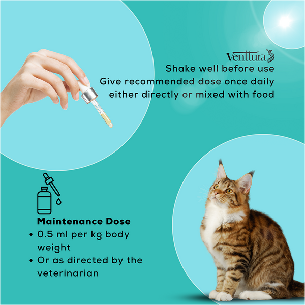 Venttura Amino Acids & Vitamin Supplement for Cats