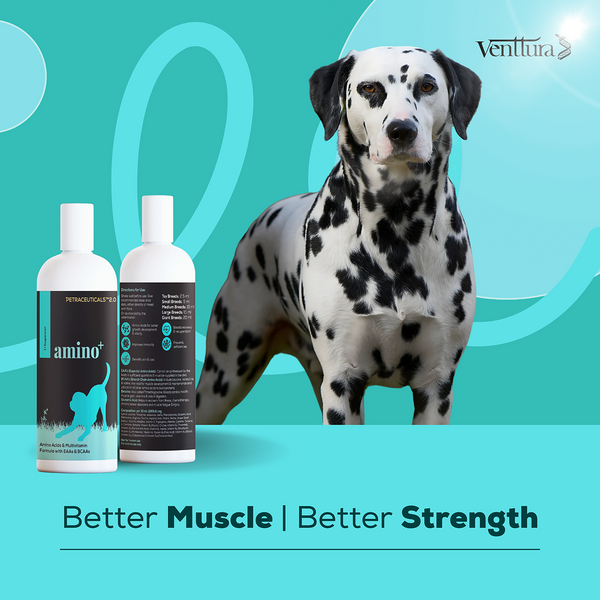 Venttura Omega 3 Plus Skin & Coat with Amino Plus Syrup for Dogs