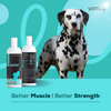 Venttura Omega 3 Plus Skin & Coat with Amino Plus Syrup for Dogs Both-Health & Wellness Venttura