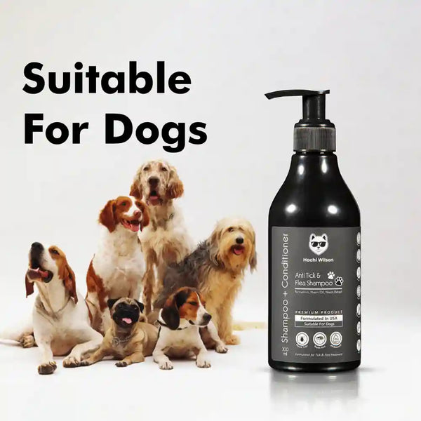 Hachi Wilson Premium Anti-Tick Flea Shampoo for Dogs and Cats