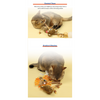 GiGwi Catch and Scratch Eco Line Lion Toy for Cats Cats-Toys GiGwi