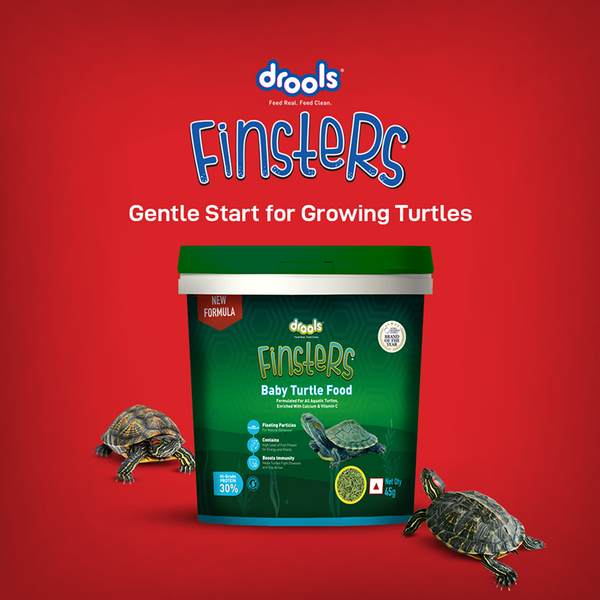 Drools Finsters Turtle Food