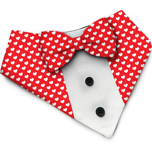 PawsIndia Valentines Edition Sweet Heart Printed Tuxedo for Dogs and Cats