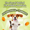 Tails Alive Jumpies+ Banana Chicken Treats Chew Sticks for Dogs Dog Treats + Others TailsAlive