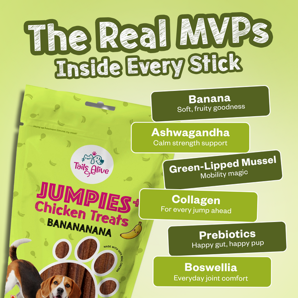 Tails Alive Jumpies+ Banana Chicken Treats Chew Sticks for Dogs