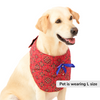 Skatrs Mandala Bandana for Cats and Dogs (Red) Both-Clothing & Accessories Skatrs