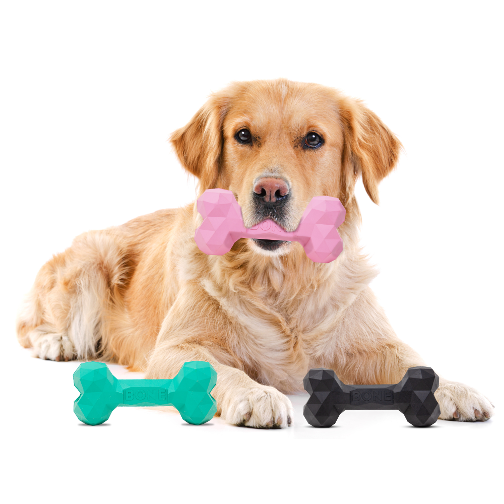 Barkbutler Chu the bone Treat Dispensing Toy for Dogs (Green) Dogs-Toys Barkbutler