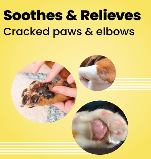 Bark Out Loud Beeswax Paw Butter Cream for Dogs and Cats