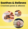 Bark Out Loud Beeswax Paw Butter Cream for Dogs and Cats Both-Grooming Supplies Bark Out Loud