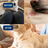 Absolut Pet Probiotics Gut & Hip, Joint Care & Skin & Coat with Collagen Health Dog Supplement Combo Dogs-Health & Wellness Absolut Pet