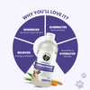 FurBall Story Shampooch Dermaprove Shampoo for Dogs Dogs-Grooming Supplies Furball Story