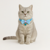 Skatrs Collar with Bow for Dogs and Cats (Blue) Both-Collar, Leashes, harnesses Skatrs 8-12 in Neck
