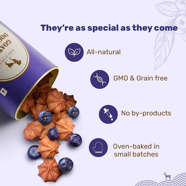 HUFT Gluten Free Goat Milk & Blueberry Cookie Dog Treats