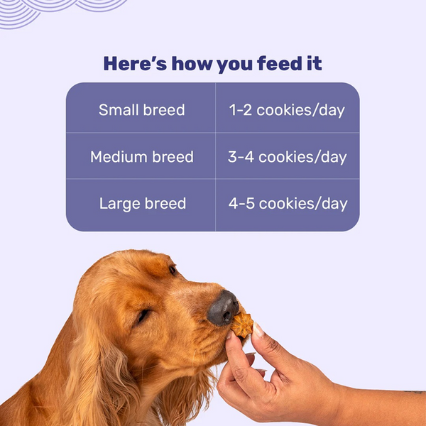 HUFT Gluten Free Goat Milk & Blueberry Cookie Dog Treats