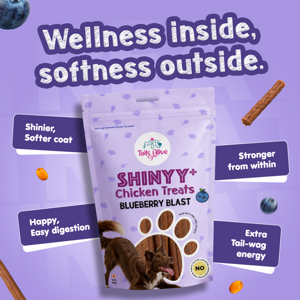 Tails Alive Shinyy+ Blueberry Blast Chicken Chew Sticks for Dogs