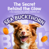 Tails Alive Shinyy+ Blueberry Blast Chicken Chew Sticks for Dogs Dog Treats + Others TailsAlive