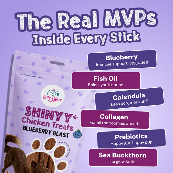 Tails Alive Shinyy+ Blueberry Blast Chicken Chew Sticks for Dogs