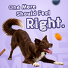 Tails Alive Shinyy+ Blueberry Blast Chicken Chew Sticks for Dogs Dog Treats + Others TailsAlive