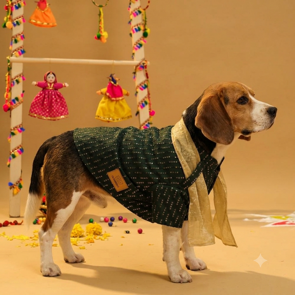 15 Furries Furwali Festival Kurta with Dupatta for Dogs (Bottle Green)
