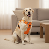 Skatrs Fully Padded Comfort Fiery Reflective Harness for Dogs & Cats (Orange) Both-Collar, Leashes, harnesses Skatrs L